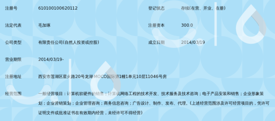 西安云道网络科技有限公司 深耕网络技术服务，赋能企业数字化转型